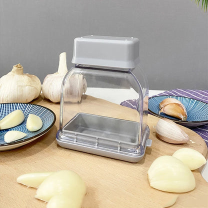 Stainless Steel Garlic Press & Crusher