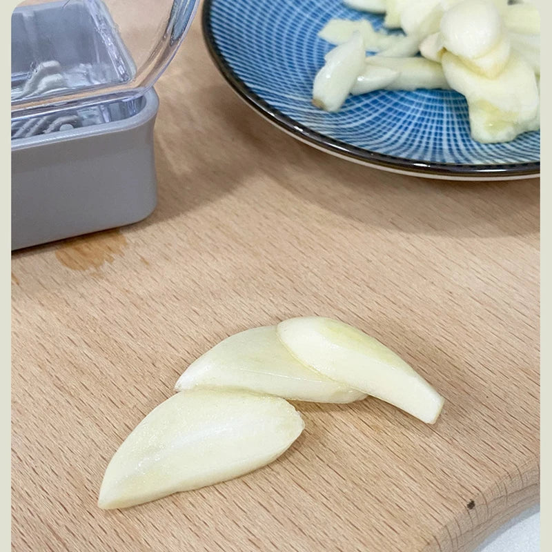 Stainless Steel Garlic Press & Crusher