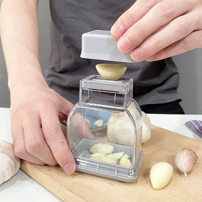 Stainless Steel Garlic Press & Crusher