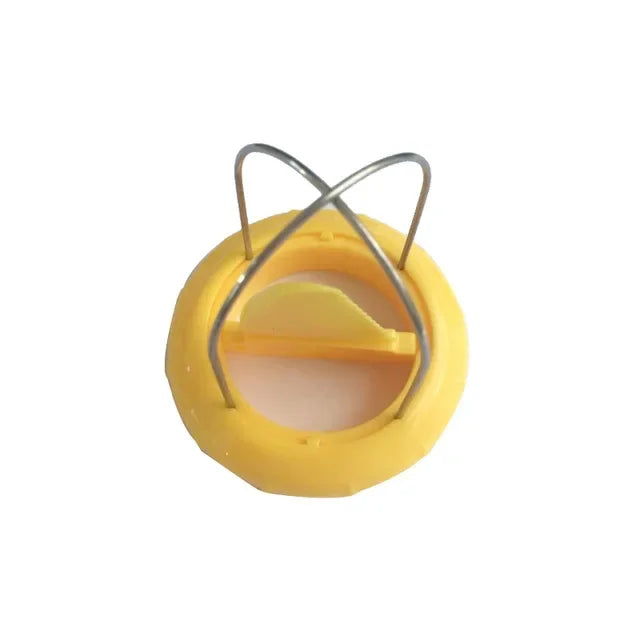 Fast Kiwi Cutter & Peeler