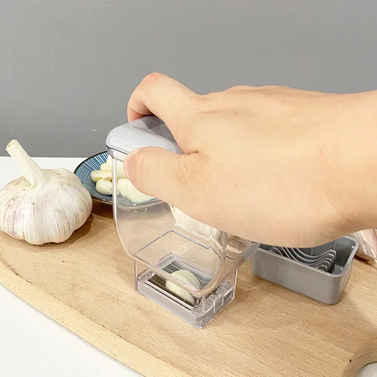 Stainless Steel Garlic Press & Crusher