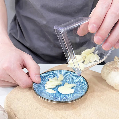 Stainless Steel Garlic Press & Crusher