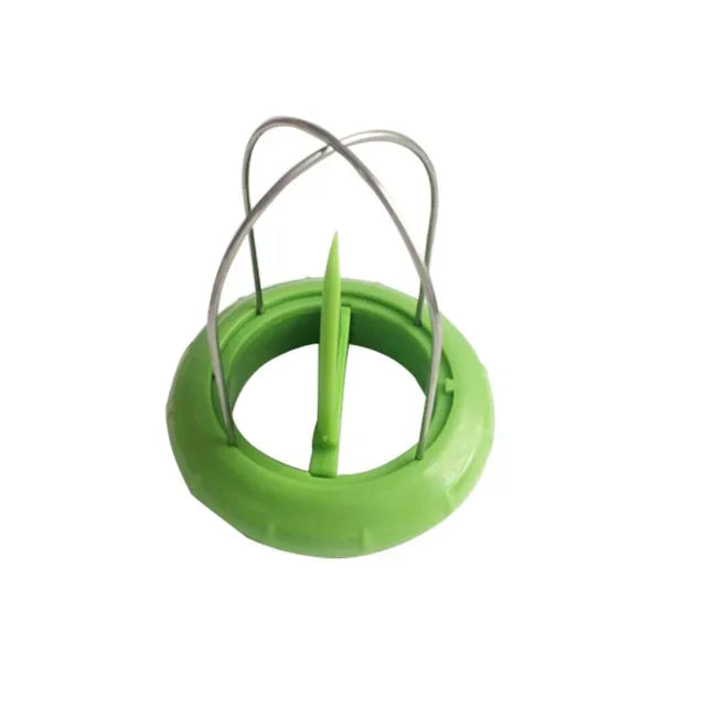 Fast Kiwi Cutter & Peeler